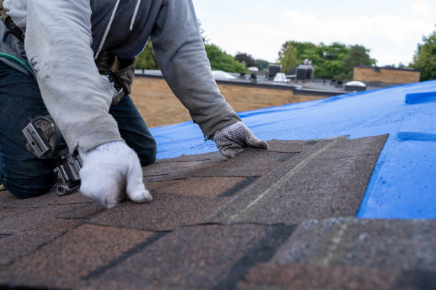 Best Emergency Roof Repair Services  in Tioga, ND